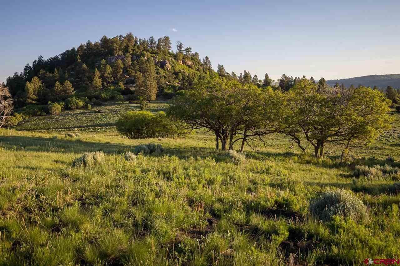 10. Farm and Ranch Properties por un Venta en TBD County Road 56V Placerville, Colorado 81430 Estados Unidos