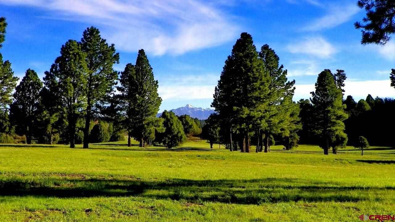 2. Farm and Ranch Properties for Active at 8231 County Road 500 Pagosa Springs, Colorado 81147 United States