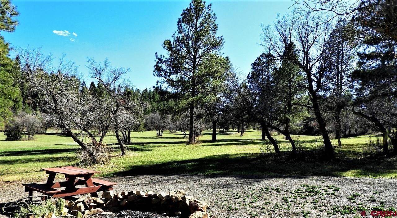 9. Farm and Ranch Properties for Active at 8231 County Road 500 Pagosa Springs, Colorado 81147 United States