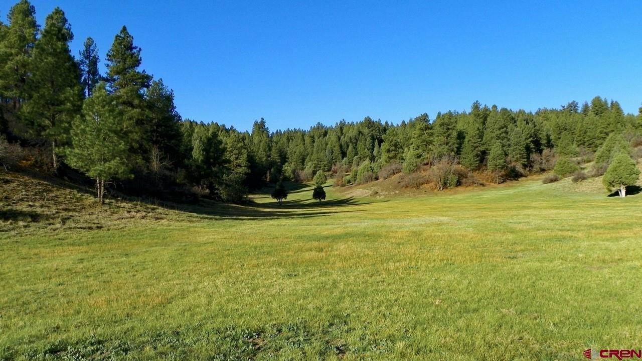 10. Farm and Ranch Properties for Active at 8231 County Road 500 Pagosa Springs, Colorado 81147 United States
