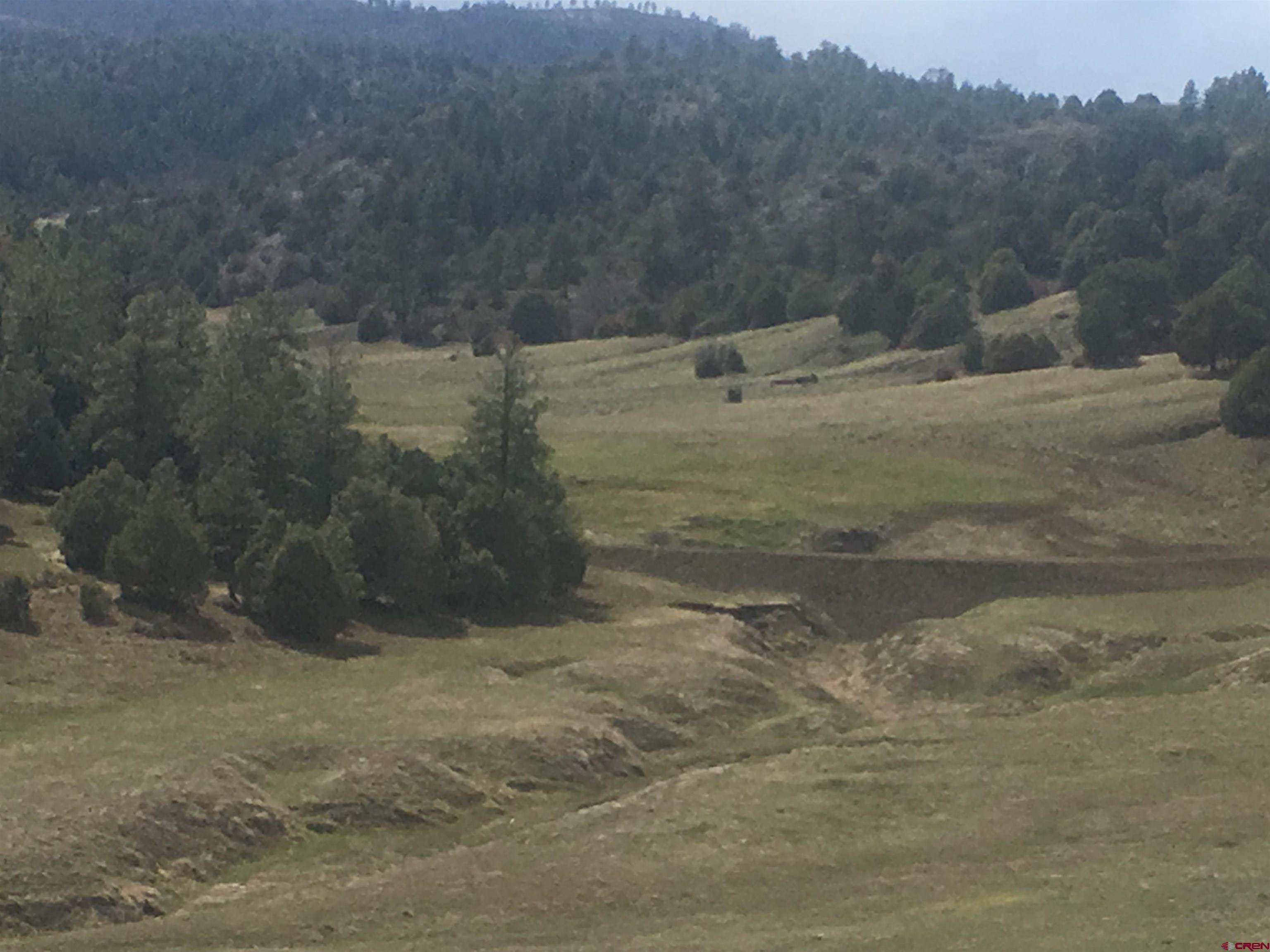 Agricultural Land for Active at x County Road 700 Arboles, Colorado 81121 United States