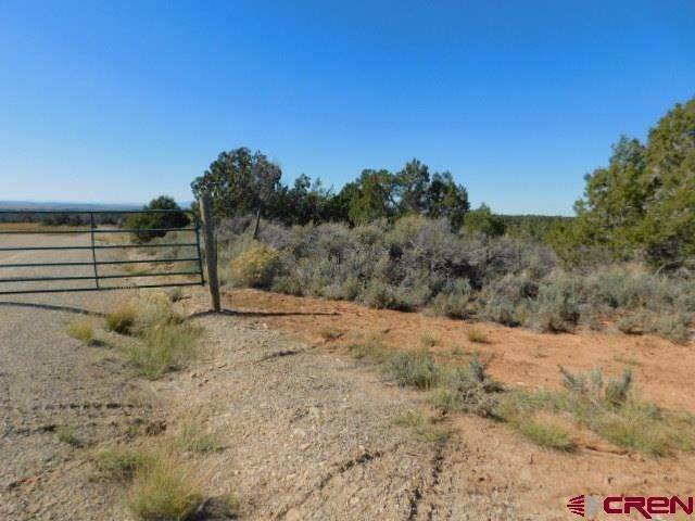 Farm and Ranch Properties for Active at tbd County Road 12 Walker Road Dove Creek, Colorado 81324 United States