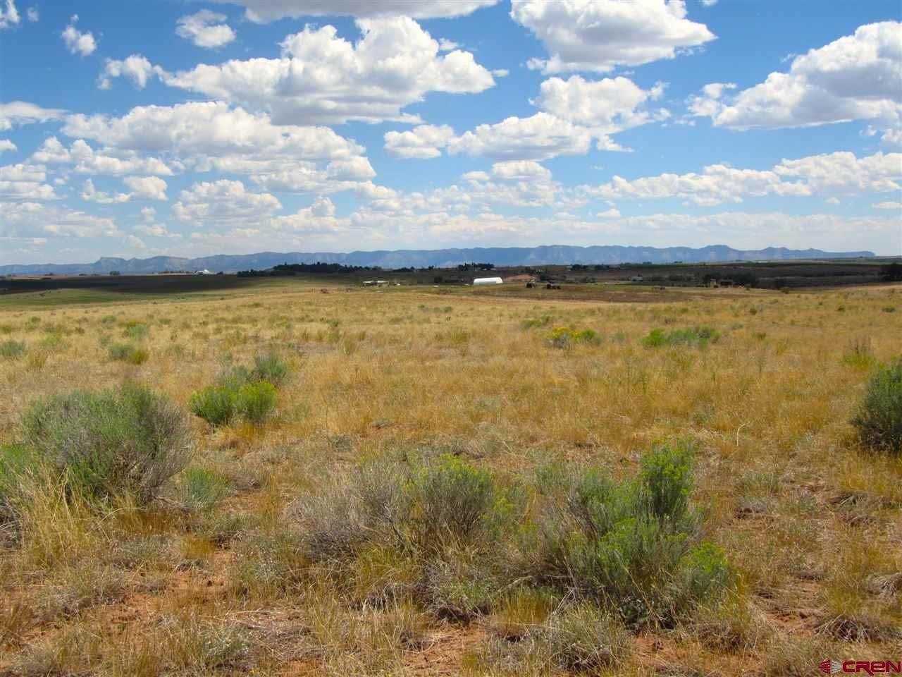 14. Agricultural Land for Active at TBD Hwy 491 Yellow Jacket, Colorado 81335 United States