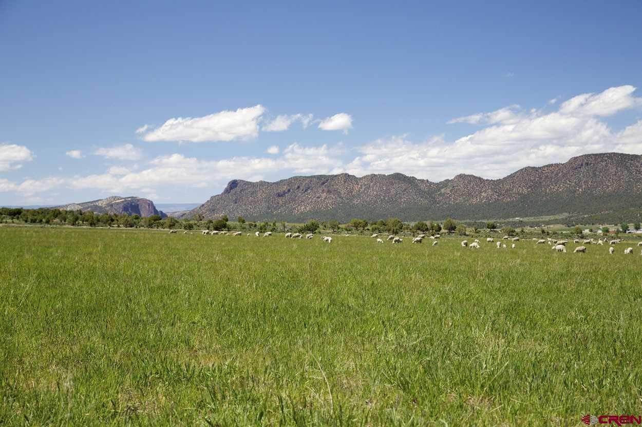 Agricultural Land for Active at Montrose, Colorado United States