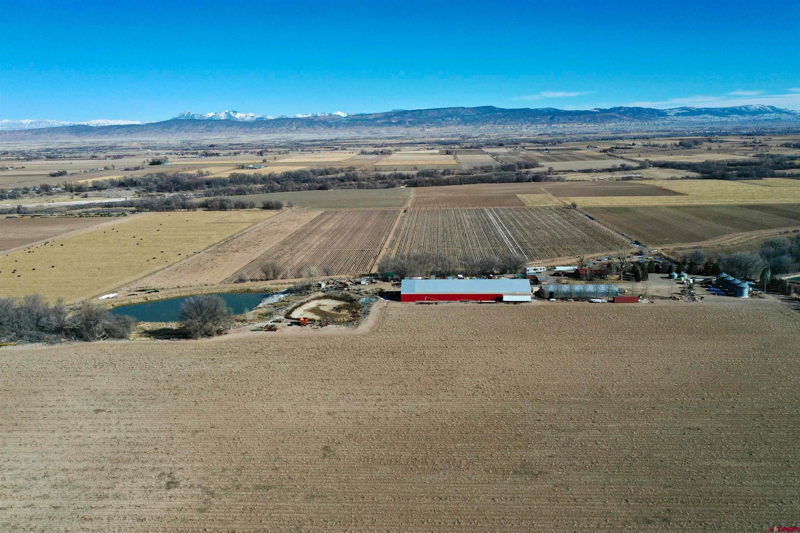 Farm and Ranch Properties for Active at 3998 5500 Road Olathe, Colorado 81425 United States