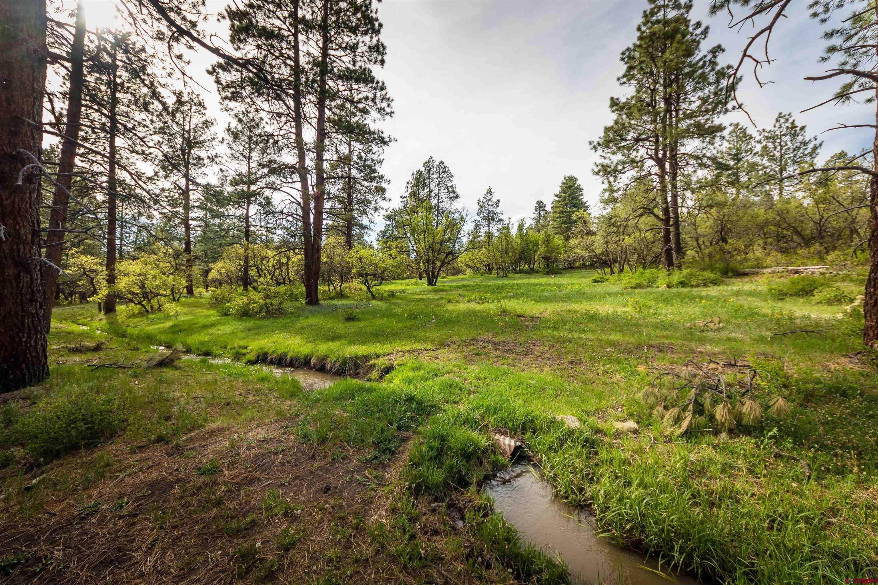 11. Farm for Active at 5053 County Road 200 Pagosa Springs, Colorado 81147 United States