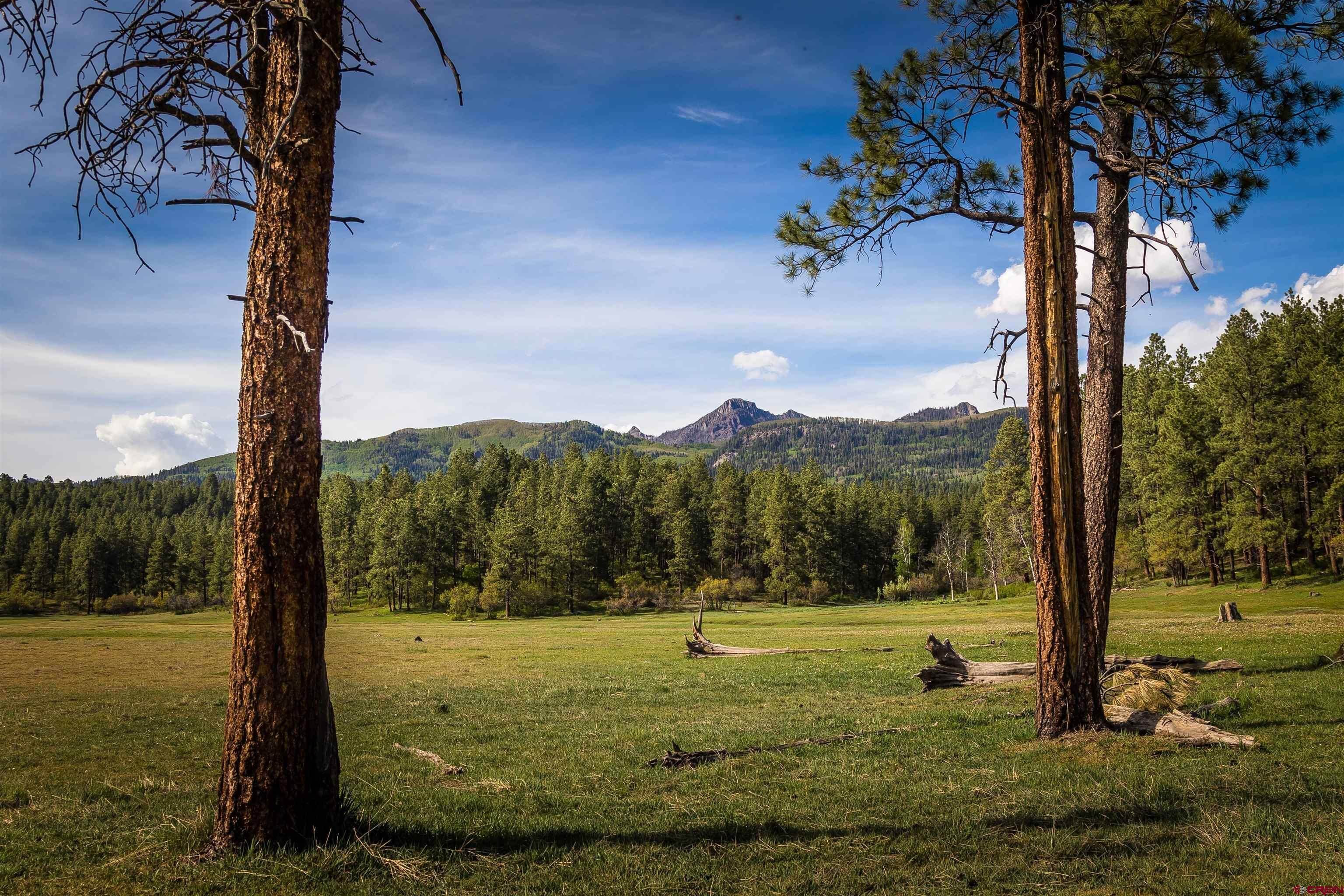 7. Farm and Ranch Properties for Active at 5053 County Road 200 Pagosa Springs, Colorado 81147 United States