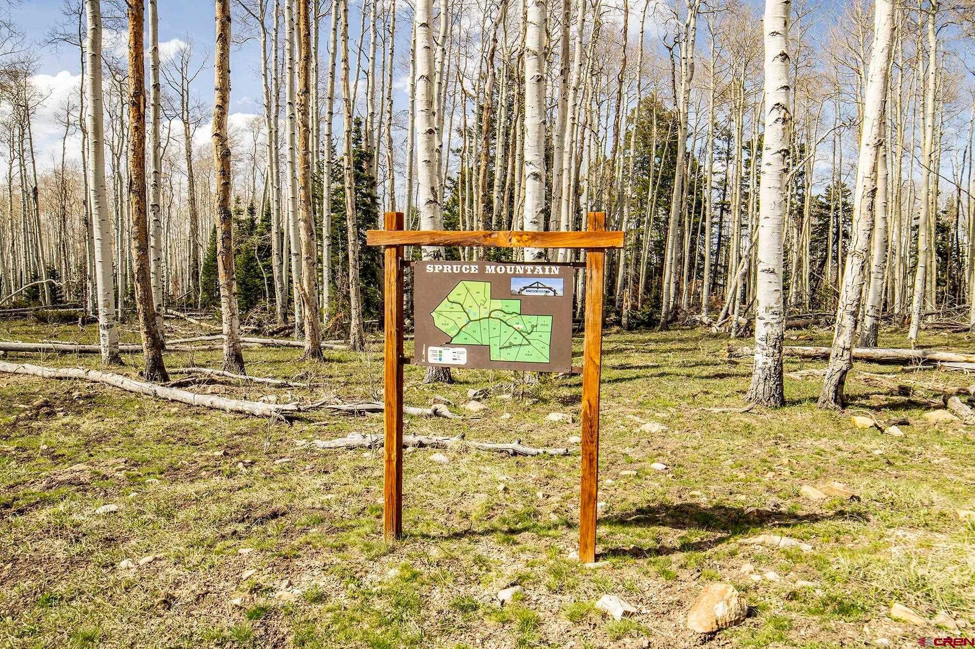 6. Single Family Homes for Active at LOT 8B Black Bear Trail Ridgway, Colorado 81432 United States