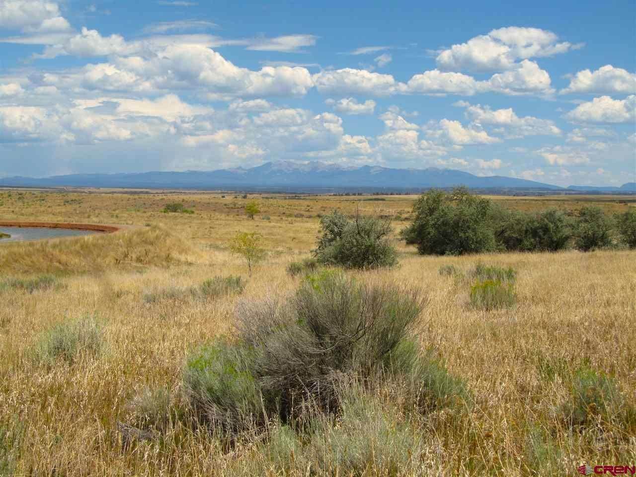 Agricultural Land for Active at TBD Hwy 491 Yellow Jacket, Colorado 81335 United States