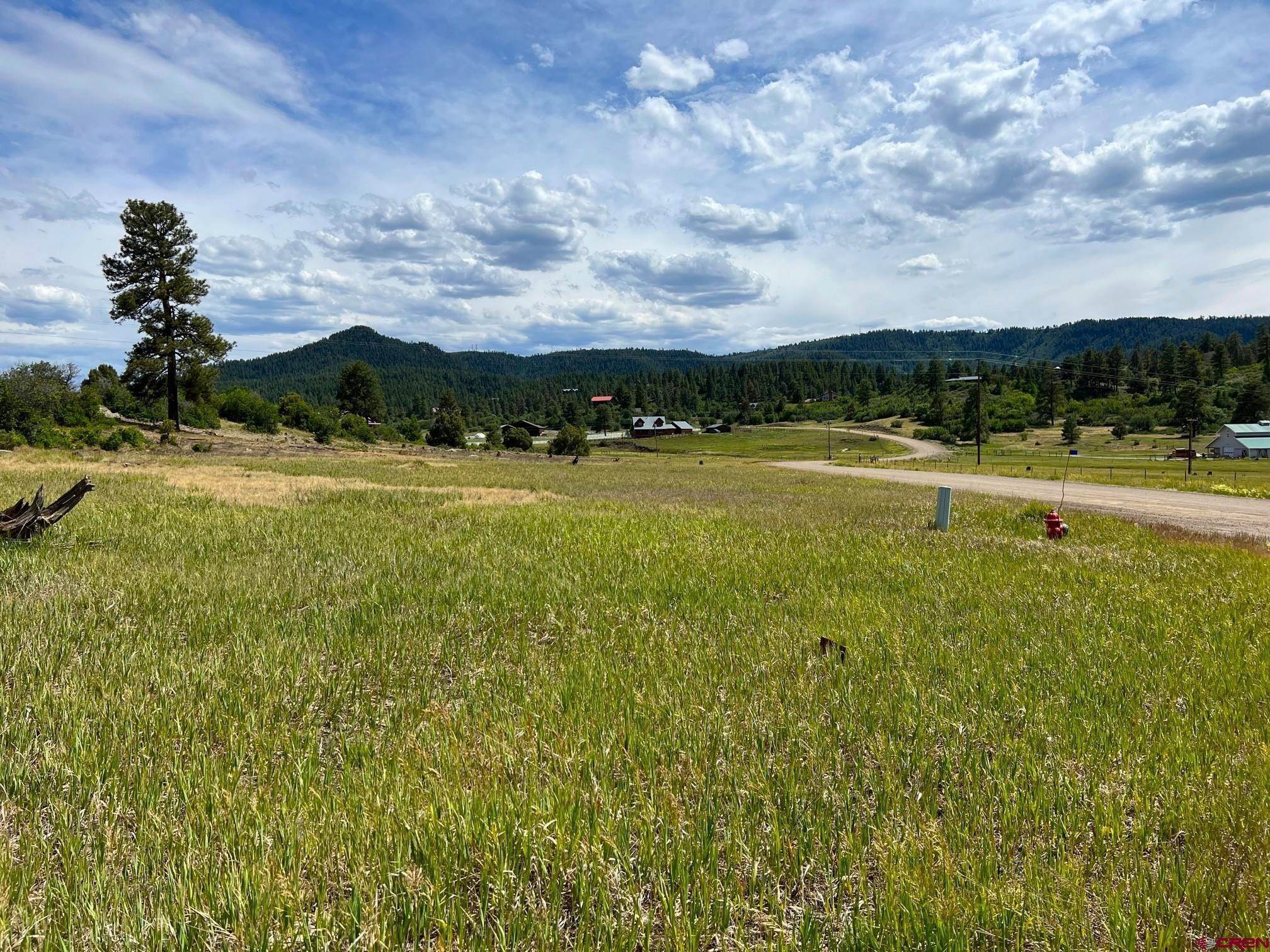 5. Single Family Homes for Active at 1234 Scenic Avenue Pagosa Springs, Colorado 81147 United States