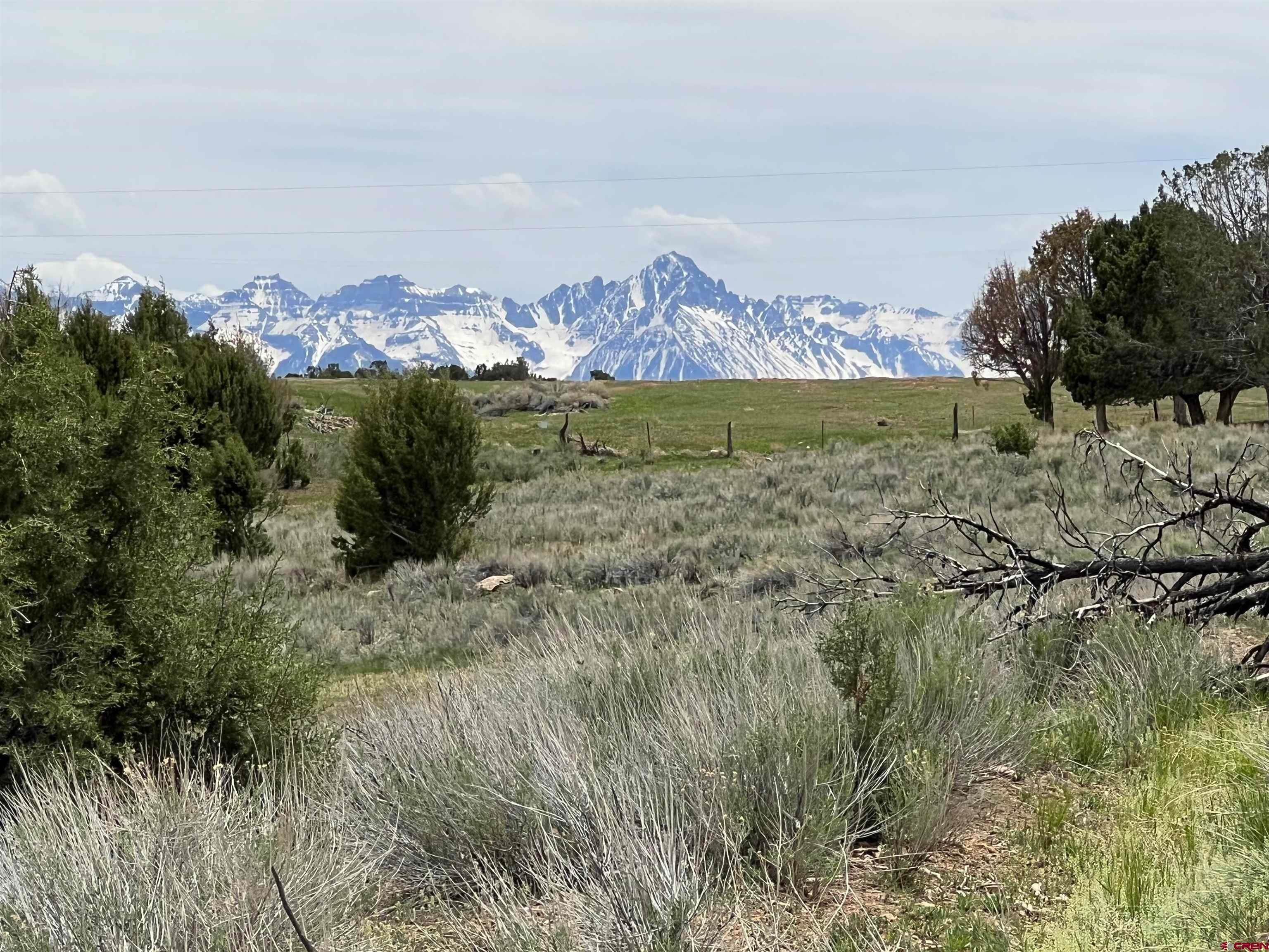 Vista a las montañas por un Venta en TBD Tracts 1&4 County Rd 22 Colona, Colorado 81403 Estados Unidos