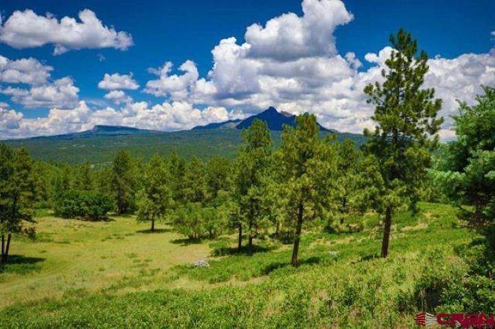 18. Single Family Homes for Active at Pagosa Springs, Colorado United States