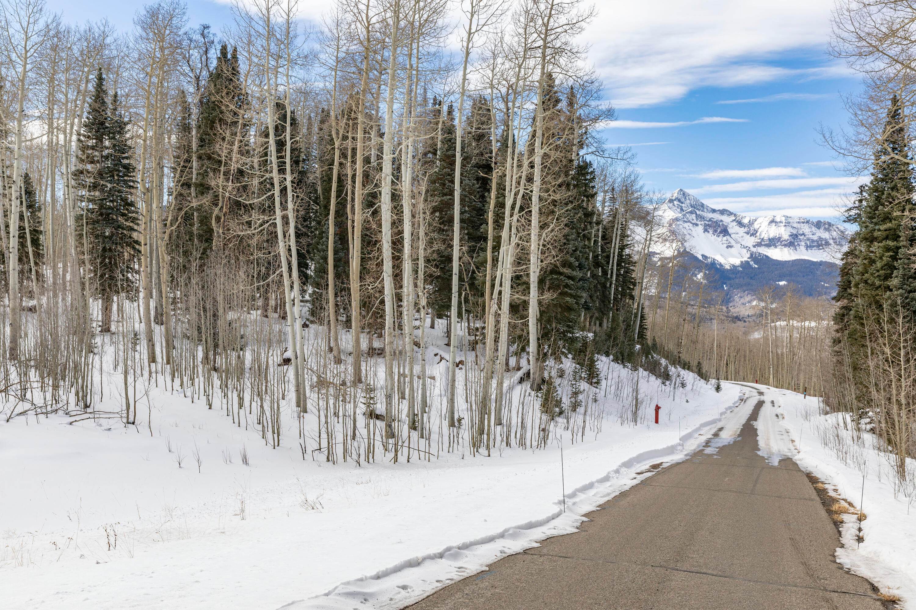8. Land for Active at TBD Elk Run Road Telluride, Colorado 81435 United States