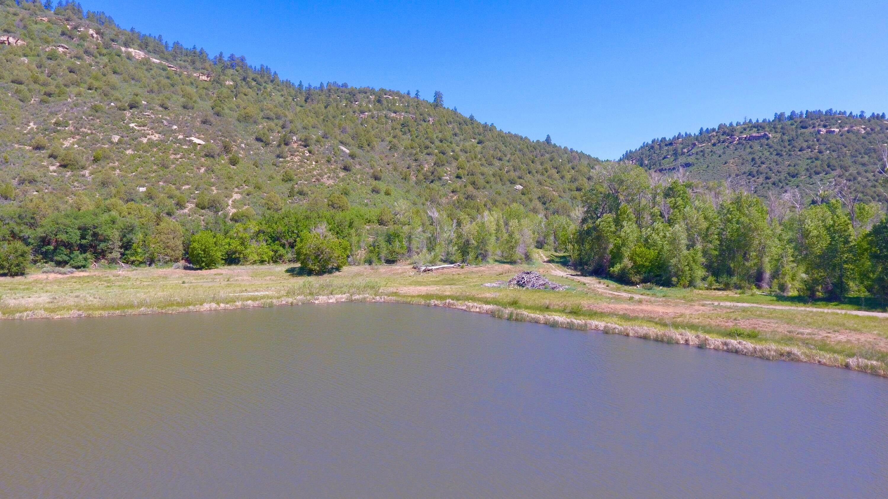 7. Land for Active at 18999 Rd 34.5 Dolores, Colorado 81323 United States