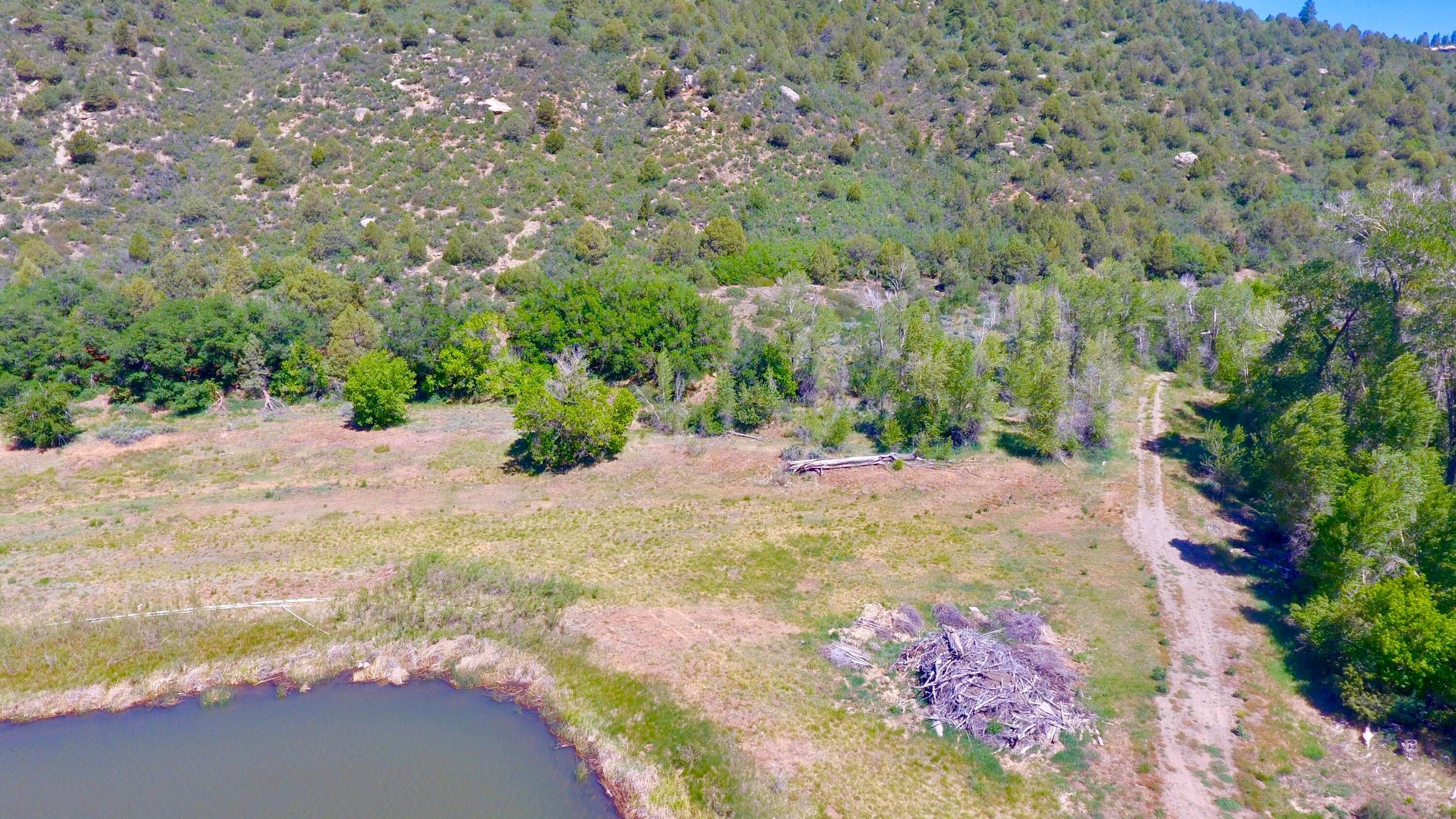 16. Land for Active at 18999 Rd 34.5 Dolores, Colorado 81323 United States