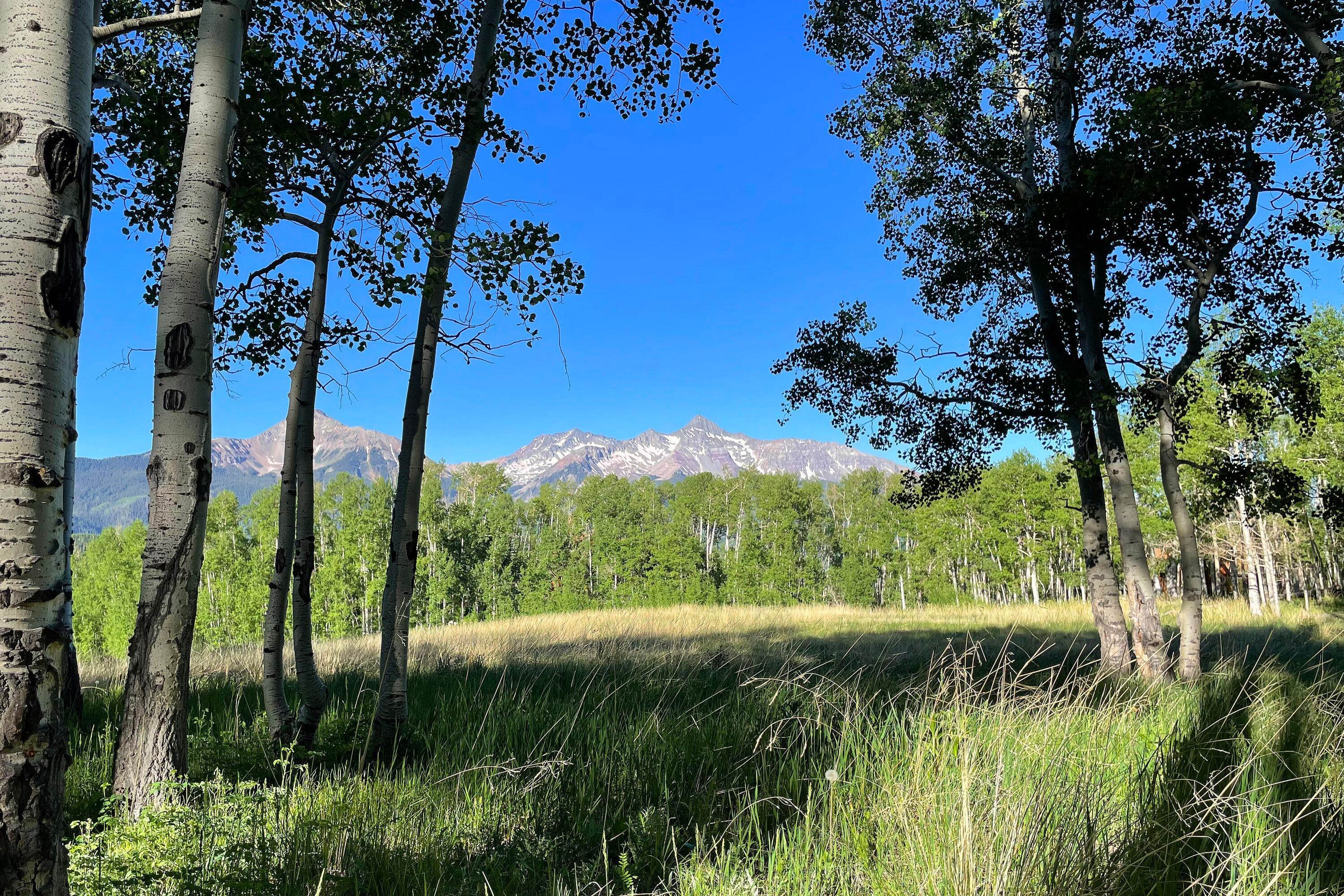 Land for Active at 257 Saddle Horn Lane Telluride, Colorado 81435 United States