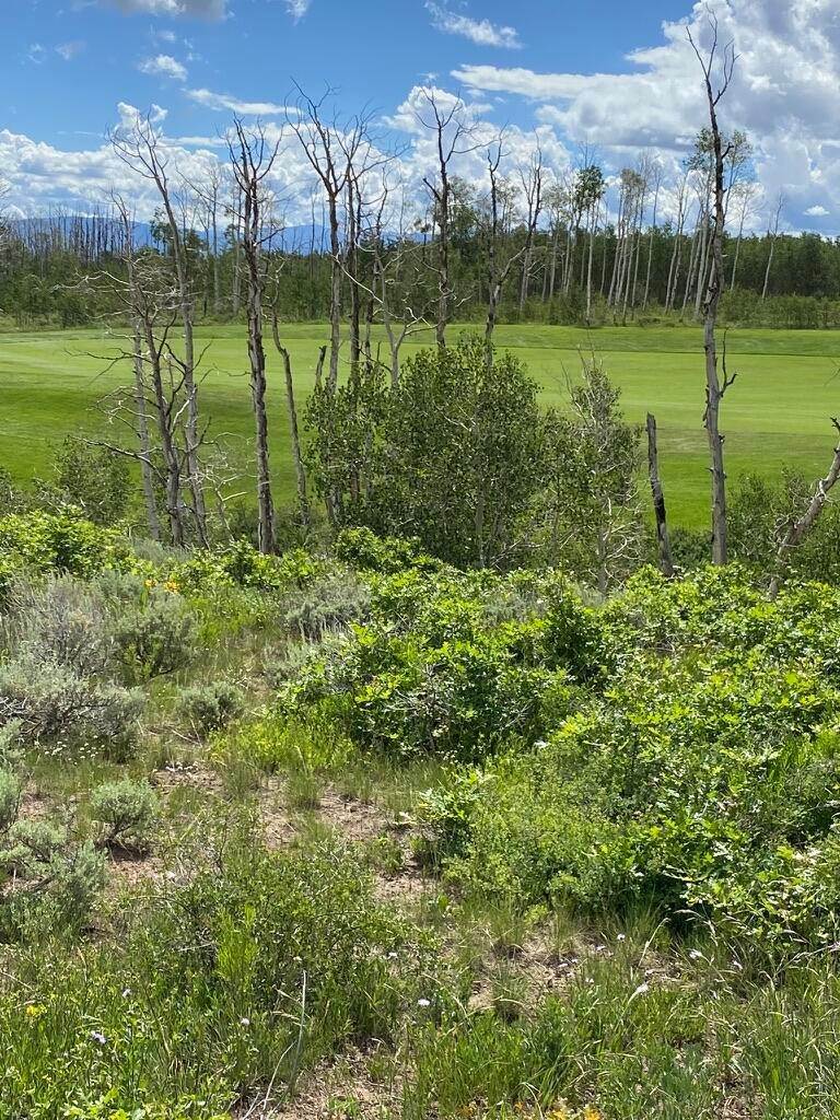 2. Land for Active at Address Not Available Montrose, Colorado 81403 United States