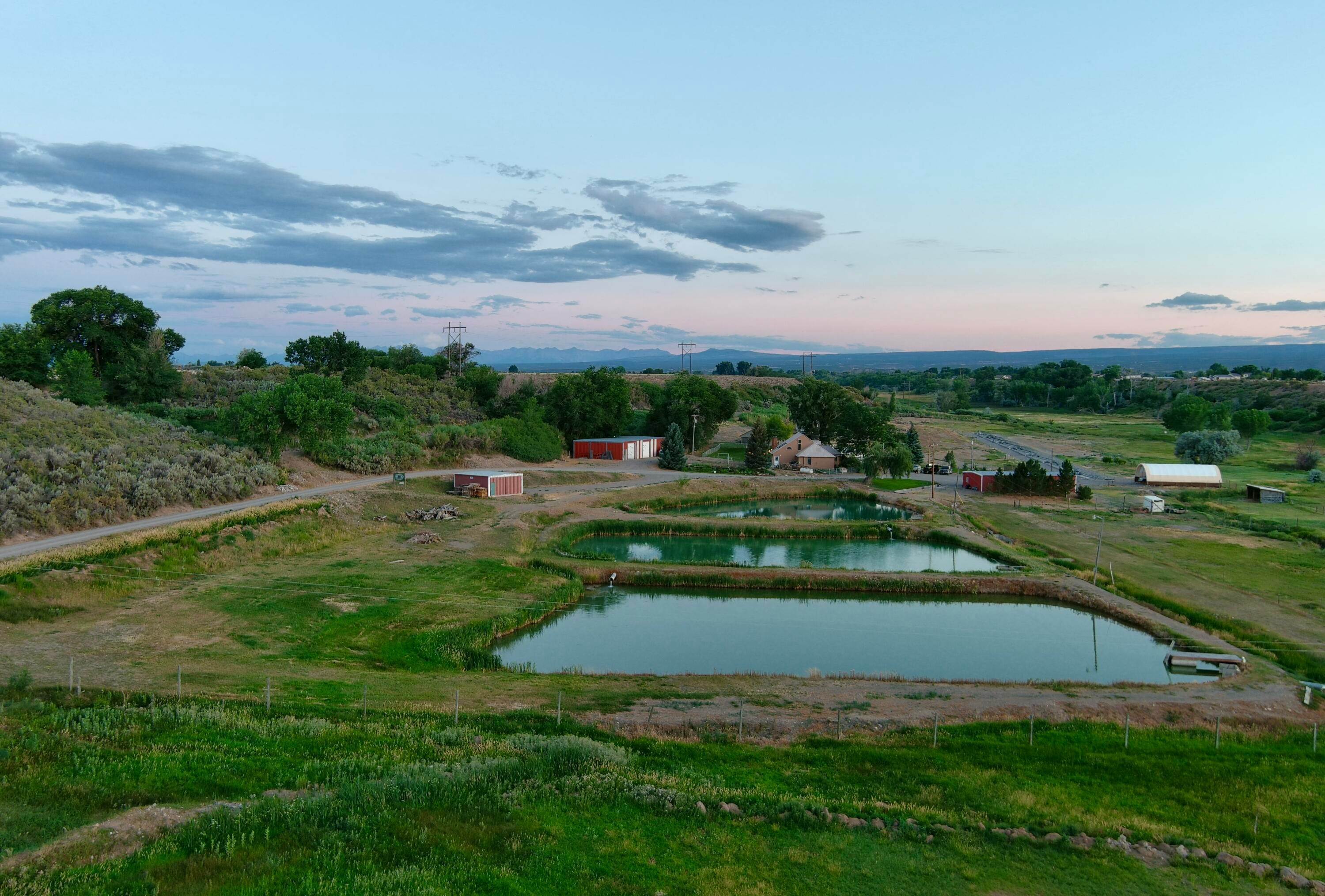 3. Land for Active at 62188 Silver Springs Lane Montrose, Colorado 81403 United States
