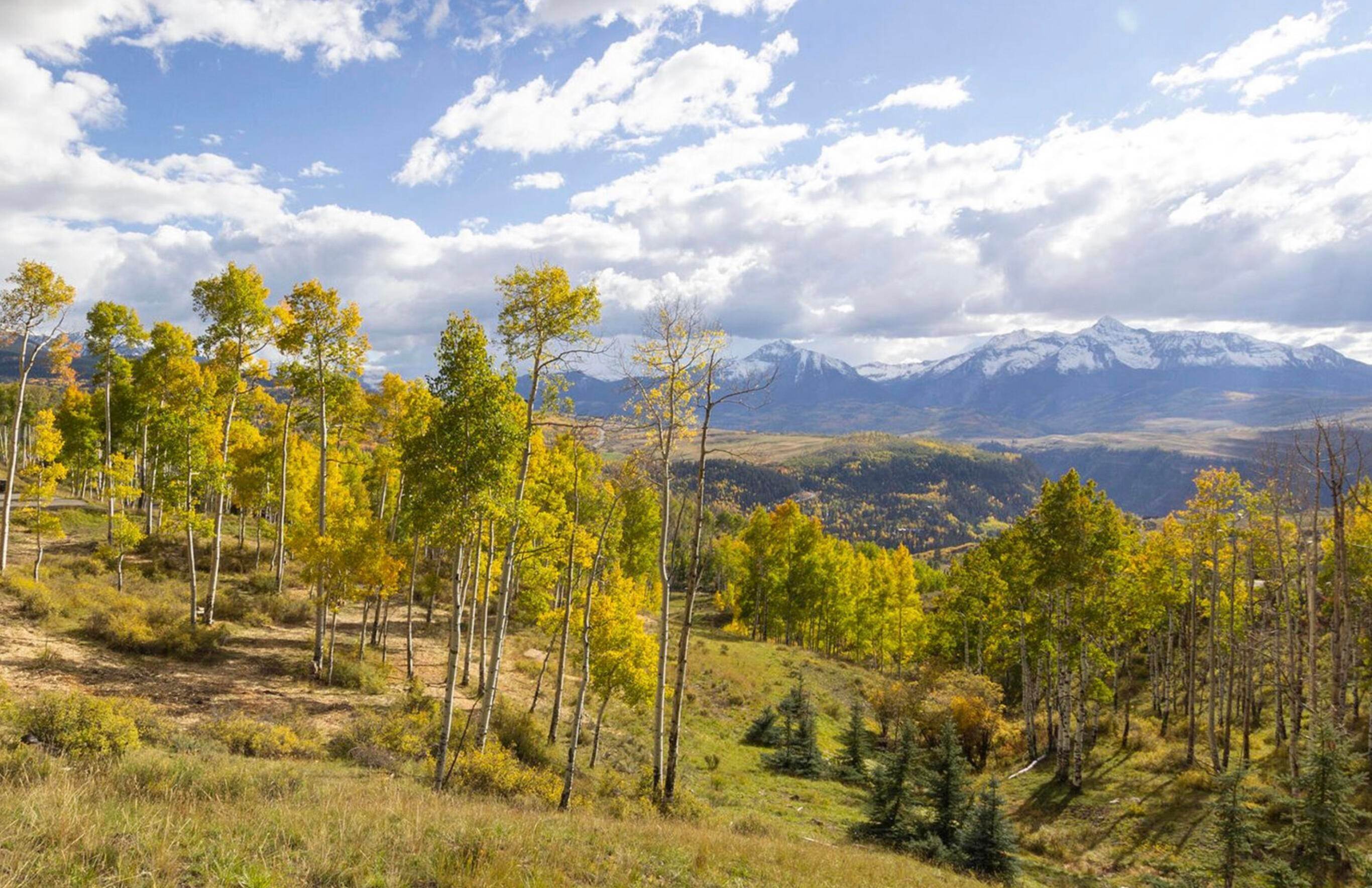 Land for Active at TBD Christelli Lane Telluride, Colorado 81435 United States