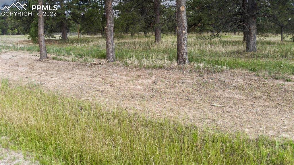 8. Land for Active at 11575 Bison Meadow Court Colorado Springs, Colorado 80908 United States
