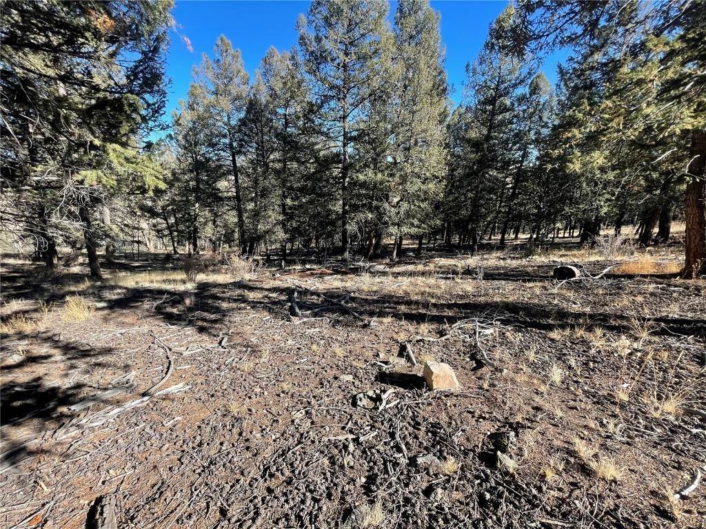 3. Land for Active at 5302 MIDDLE FORK VISTA Fairplay, Colorado 80440 United States