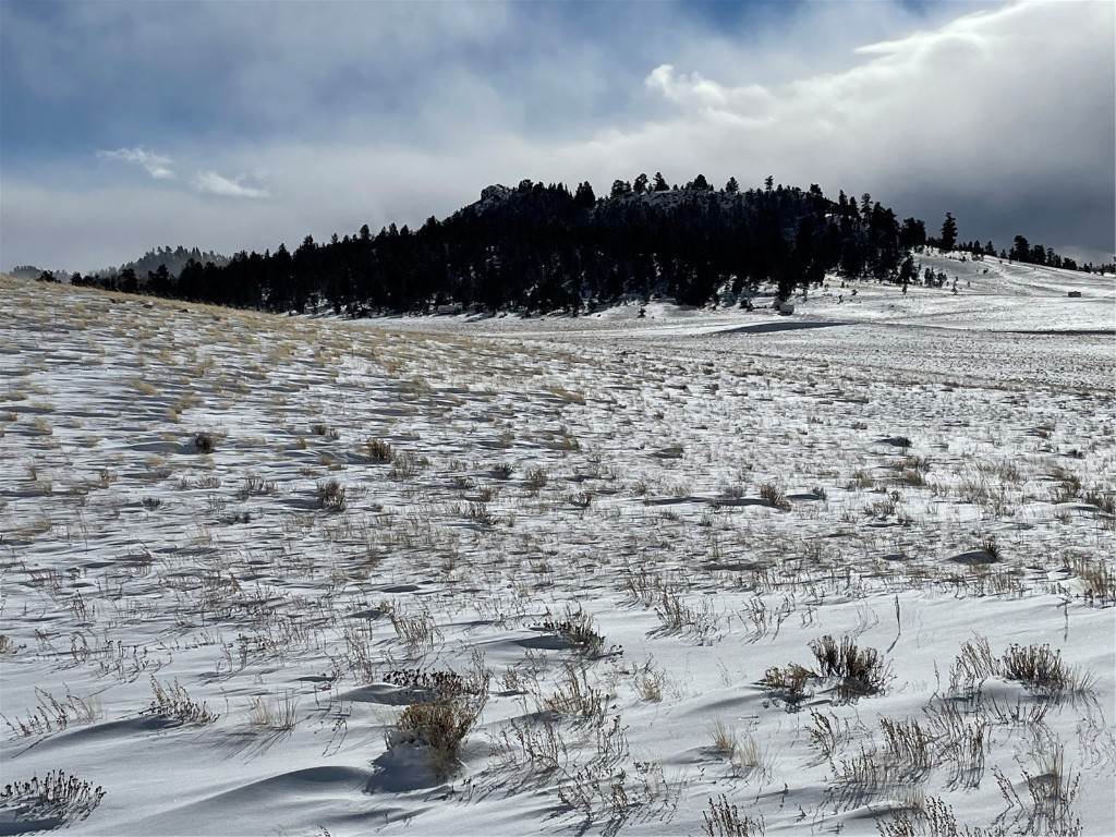 Land for Active at 915 Chickamauga Trail Hartsel, Colorado 80449 United States