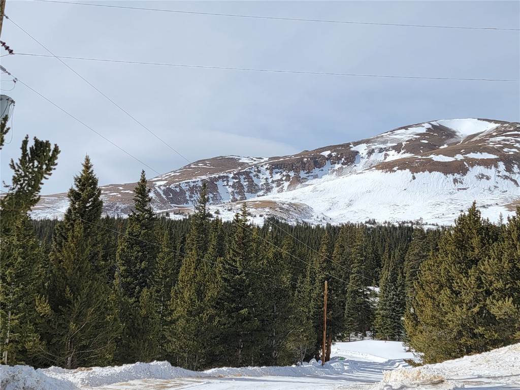 15. Land for Active at 22 Rons Road Alma, Colorado 80420 United States