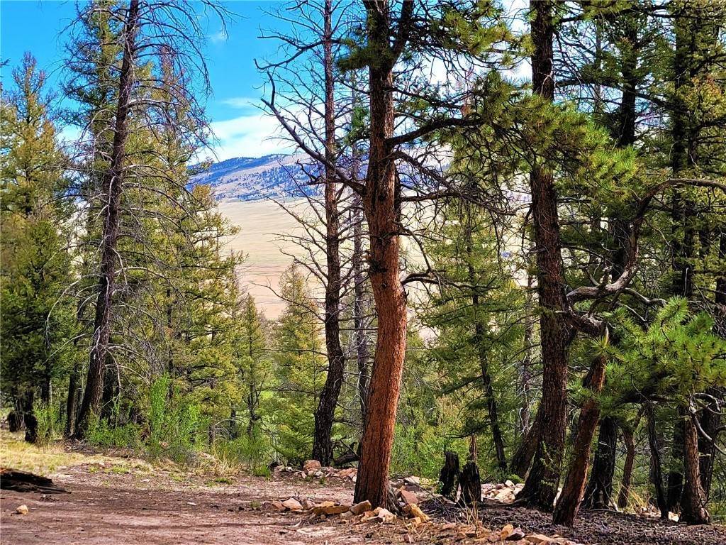 1. Land for Active at 198 Middle Fork Vista Fairplay, Colorado 80440 United States