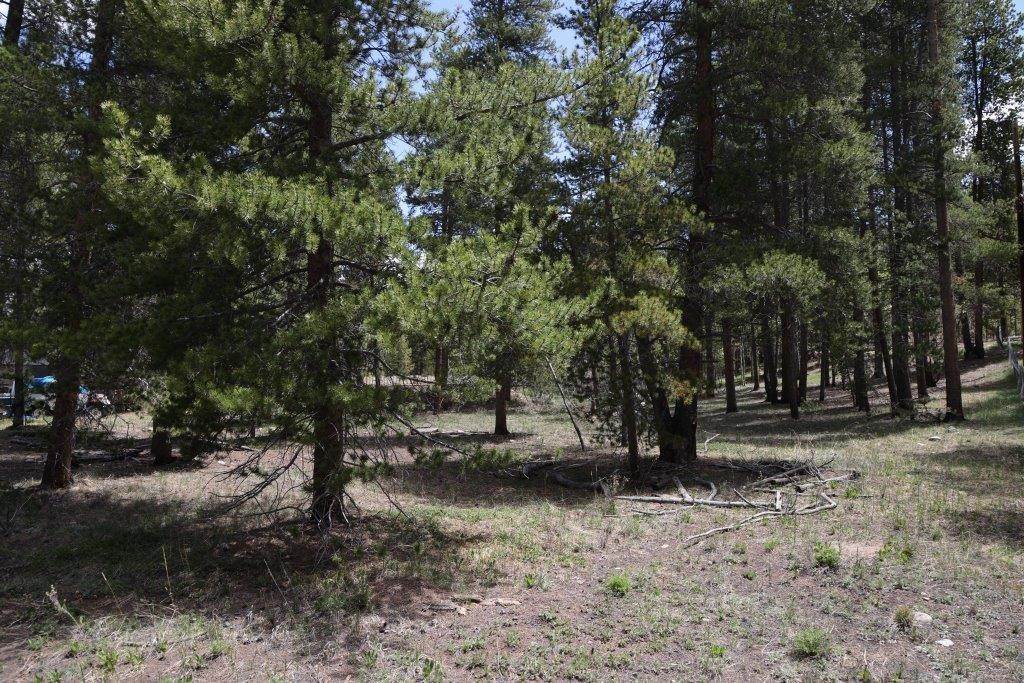 Land for Active at 1806 GOLD Drive Leadville, Colorado 80461 United States