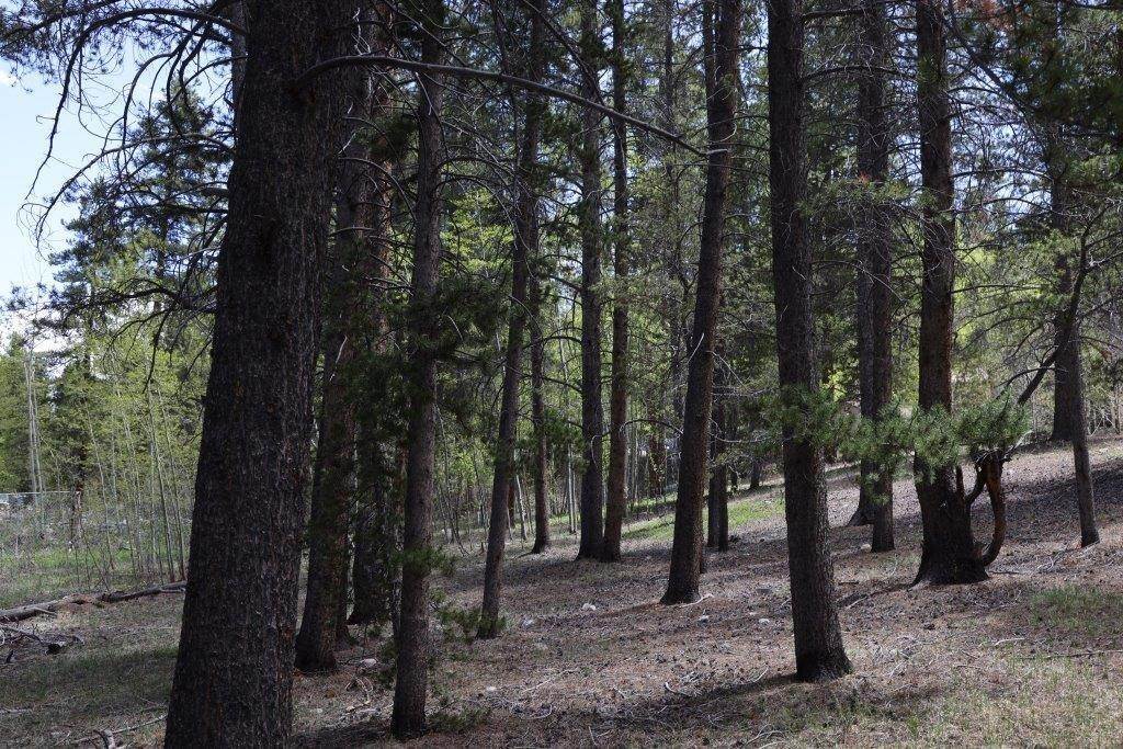 12. Land for Active at 1806 GOLD Drive Leadville, Colorado 80461 United States