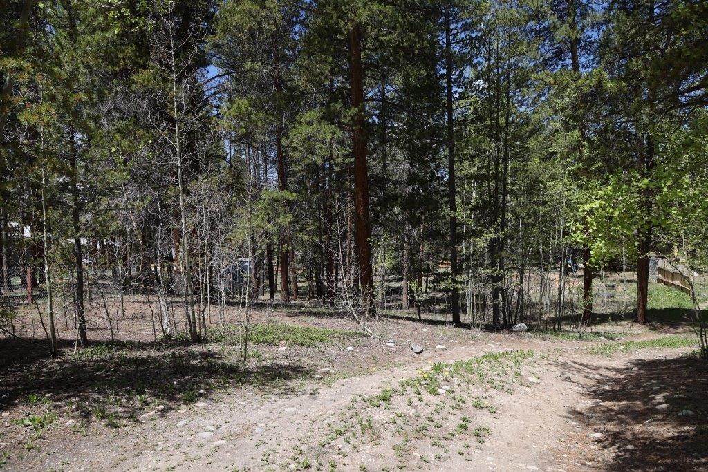 7. Land for Active at 1806 GOLD Drive Leadville, Colorado 80461 United States