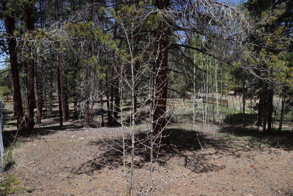 8. Land for Active at 1806 GOLD Drive Leadville, Colorado 80461 United States