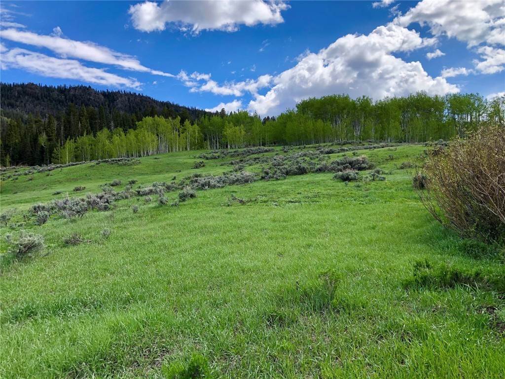 Land for Active at TBD GCR 134 (Western Parcel 21 AC) Kremmling, Colorado 80459 United States