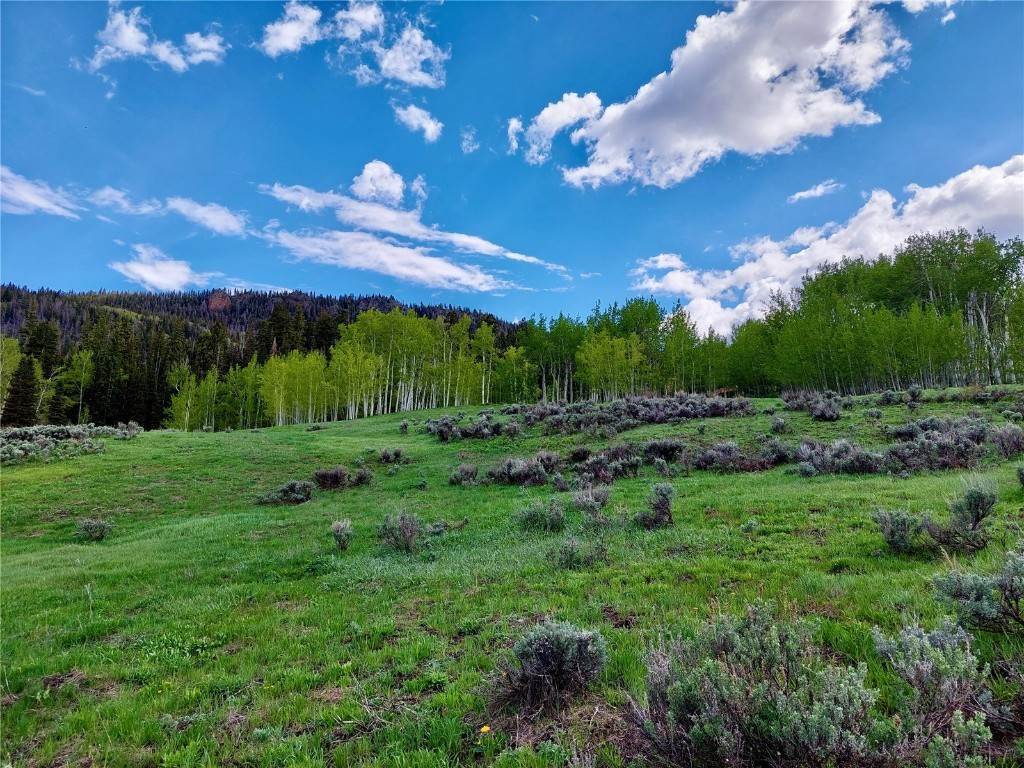 14. Land for Active at TBD GCR 134 (Western Parcel 21 AC) Kremmling, Colorado 80459 United States