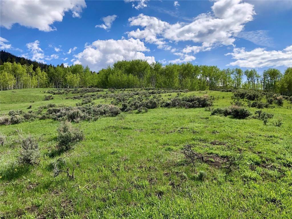 18. Land for Active at TBD GCR 134 (Western Parcel 21 AC) Kremmling, Colorado 80459 United States