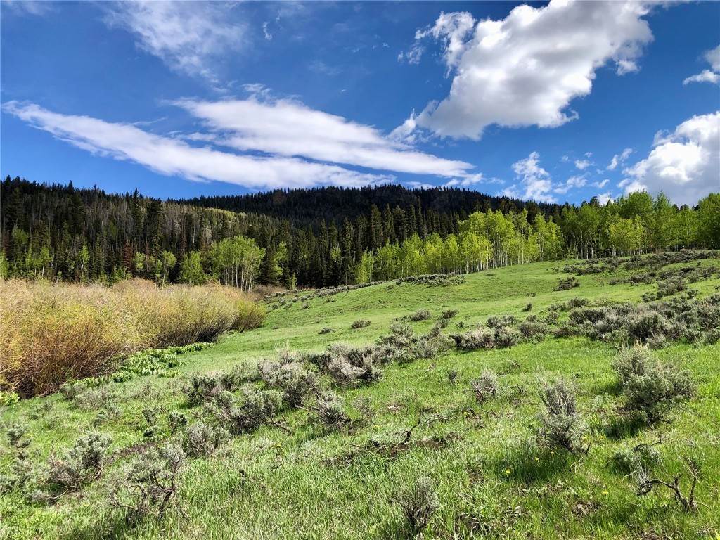 19. Land for Active at TBD GCR 134 (Western Parcel 21 AC) Kremmling, Colorado 80459 United States