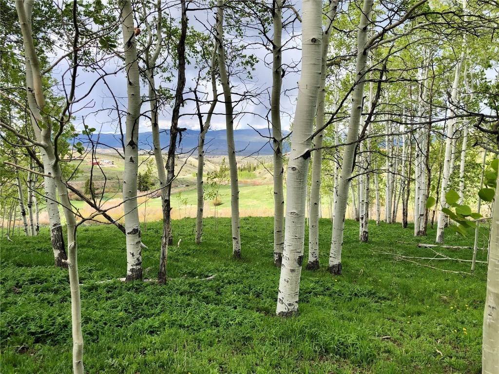 2. Land for Active at TBD GCR 134 (Western Parcel 21 AC) Kremmling, Colorado 80459 United States