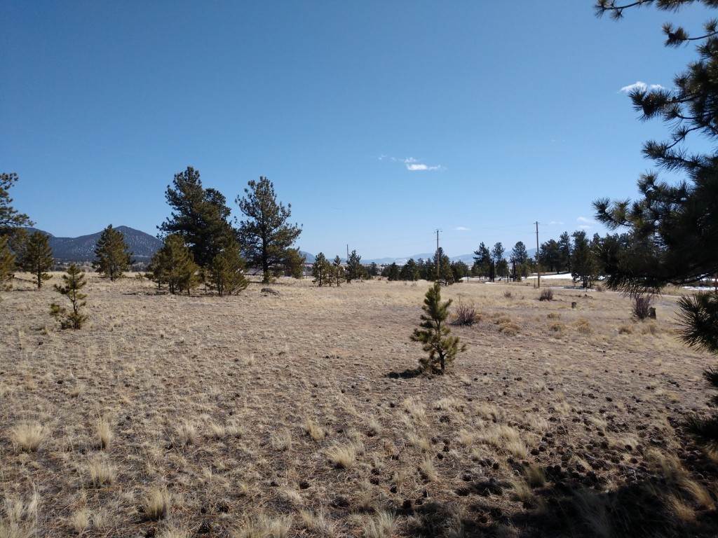 Land for Active at 387 Jasper Way Hartsel, Colorado 80449 United States