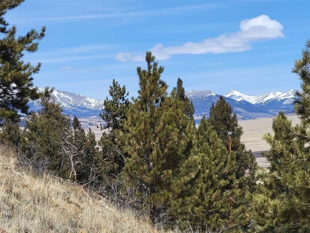 1. Land for Active at 337 Redhill Road Fairplay, Colorado 80440 United States