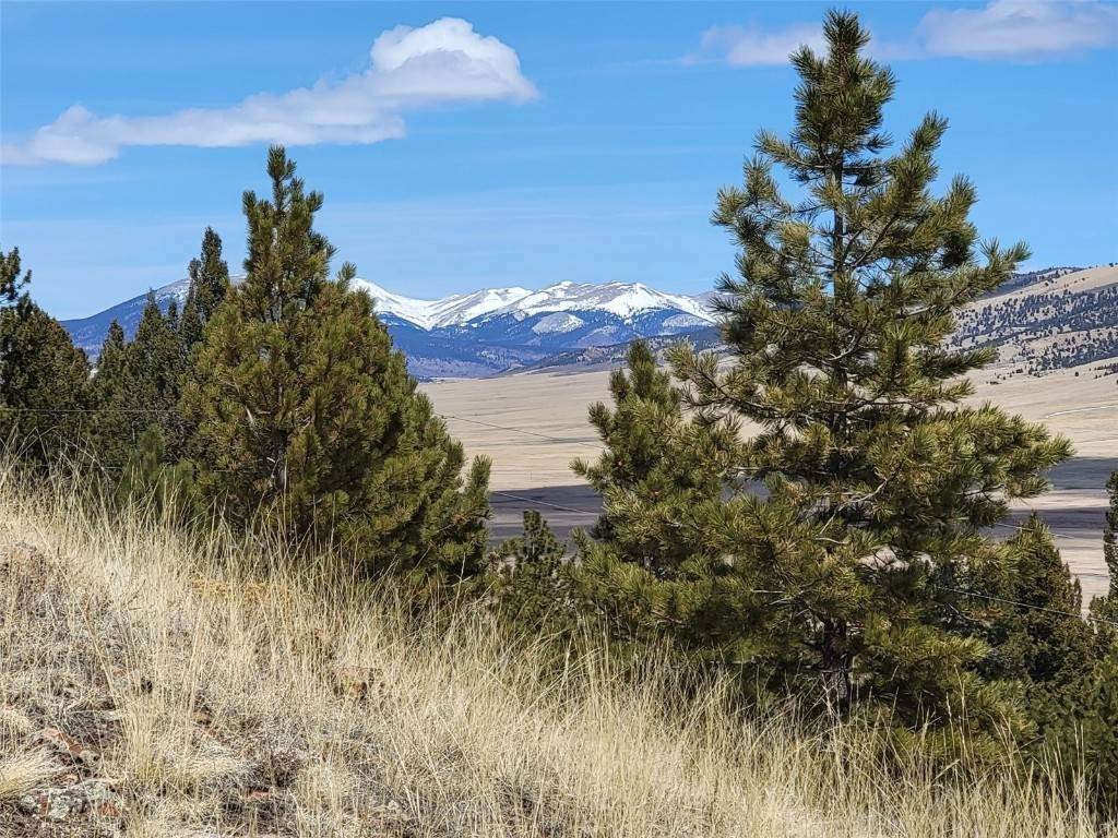 15. Land for Active at 337 Redhill Road Fairplay, Colorado 80440 United States