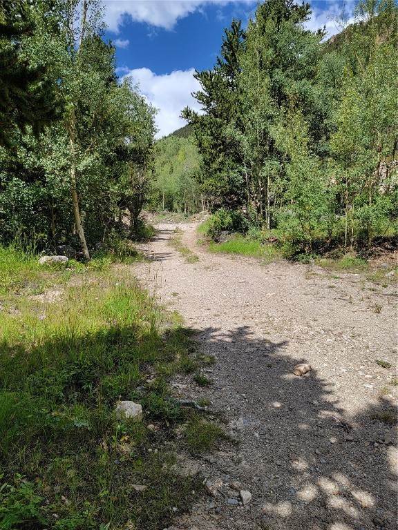 6. Land for Active at 3821 County Road 12 Alma, Colorado 80420 United States
