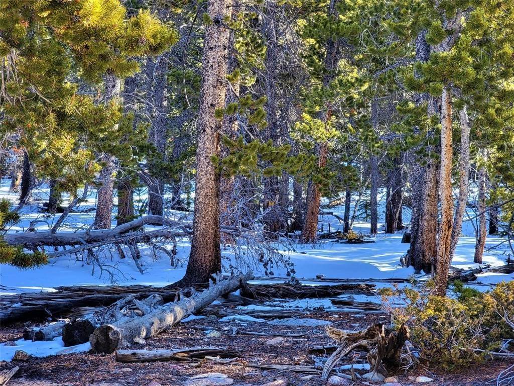 19. Land for Active at TBD Gold Trail Lot 1175 Fairplay, Colorado 80440 United States