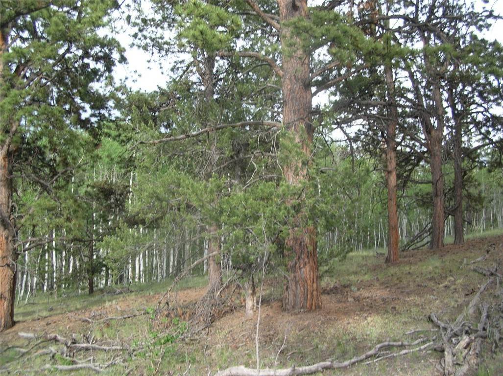 6. Land for Active at 461 Superstition Trail Hartsel, Colorado 80449 United States