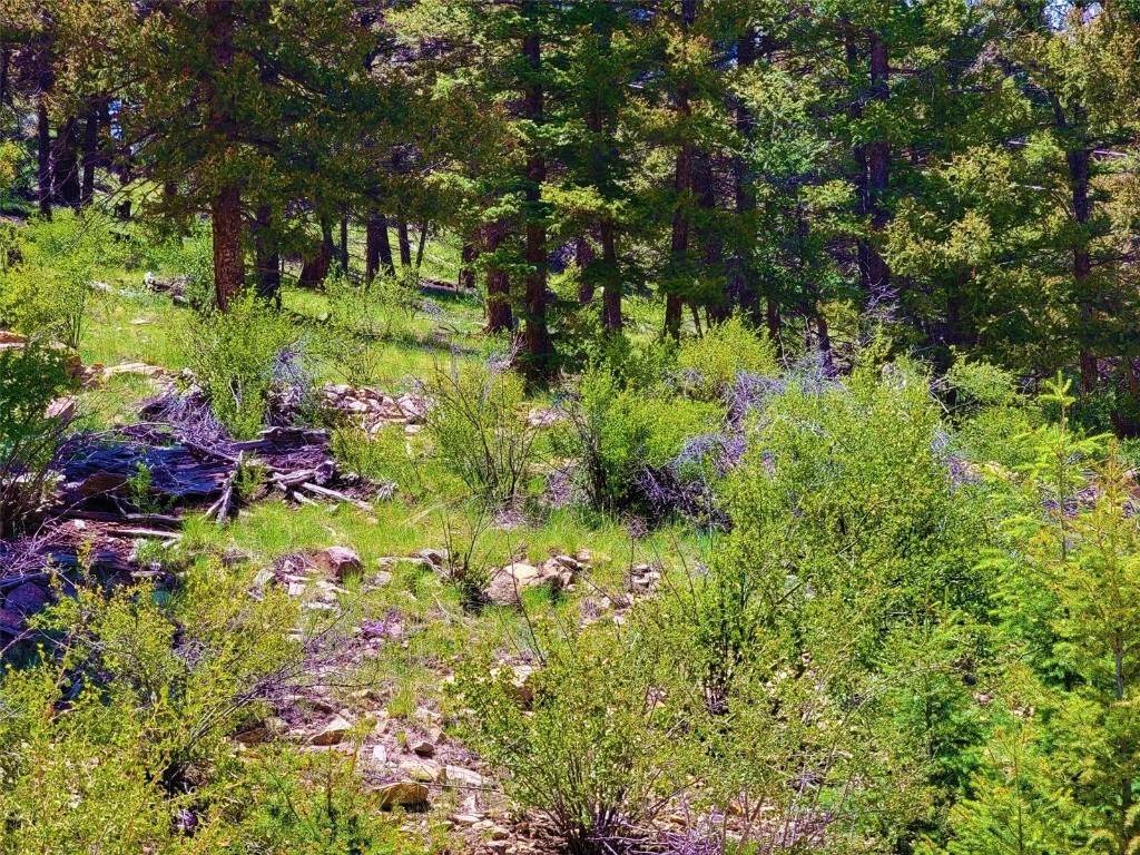 12. Land for Active at 1021 Redhill Road Fairplay, Colorado 80440 United States