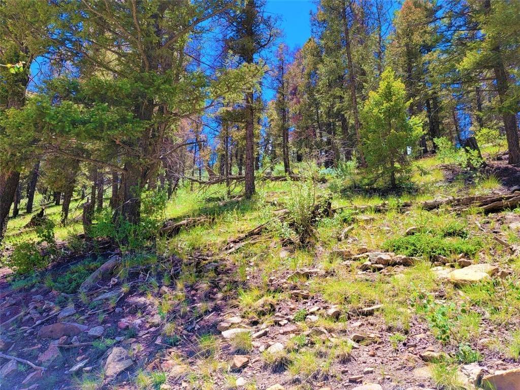 3. Land for Active at 1021 Redhill Road Fairplay, Colorado 80440 United States