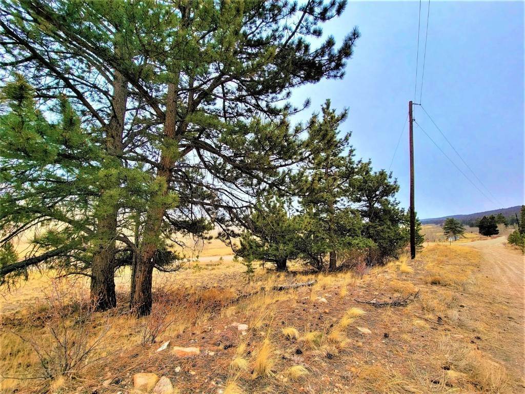 17. Land for Active at 68 Redhill Court Fairplay, Colorado 80440 United States