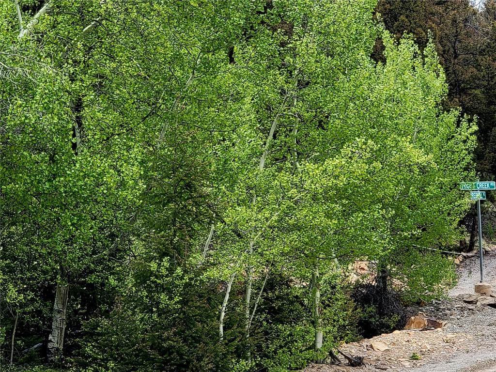 3. Land for Active at 232 Trout Creek Lane Fairplay, Colorado 80440 United States
