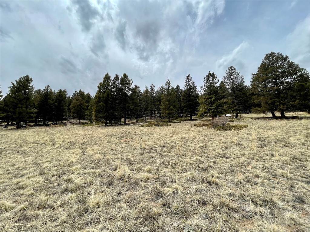 10. Land for Active at 1456 Redhill Road Fairplay, Colorado 80440 United States