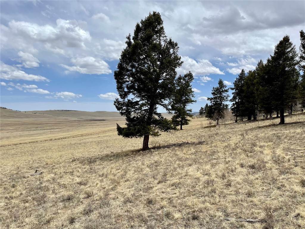 8. Land for Active at 1456 Redhill Road Fairplay, Colorado 80440 United States
