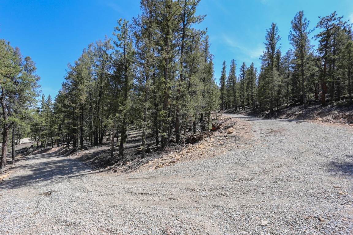6. Land for Active at 1963 Redhill Road Fairplay, Colorado 80440 United States